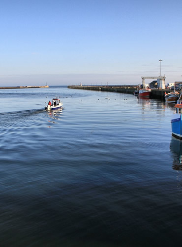 Amble Harbour