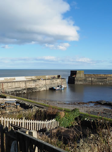 Craster